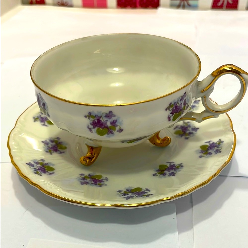 Royal Heidelberg Wintering Bavaria Elegant Floral Teacup and Saucer Set